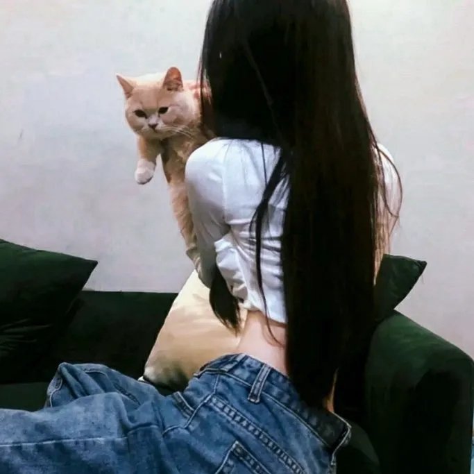 鲜血的午后