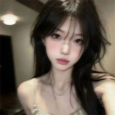 完美伴侣2025